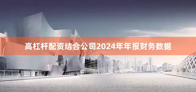 高杠杆配资结合公司2024年年报财务数据